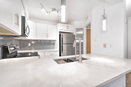 Kitchen - 104-1360 Rue St-Jacques, Montréal (Ville-Marie), QC - Indoor Photo Showing Kitchen With Double Sink