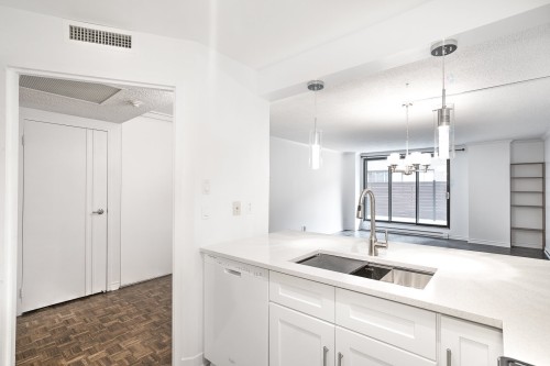 Kitchen - 104-1360 Rue St-Jacques, Montréal (Ville-Marie), QC - Indoor Photo Showing Kitchen With Double Sink