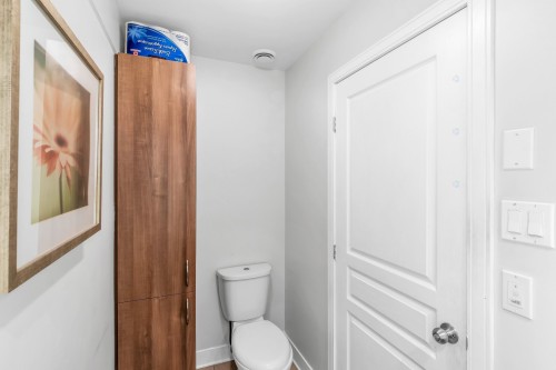 Salle d'eau - 167 Rue De Cherbourg, Candiac, QC - Indoor Photo Showing Bathroom