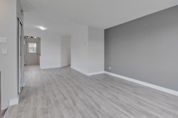 Salon - 