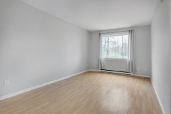 Salon - 