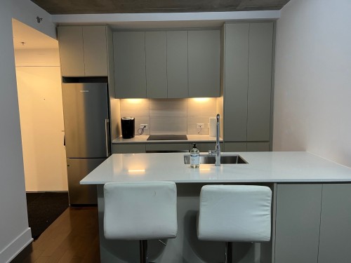 Dinette - 411-2320 Rue Tupper, Montréal (Ville-Marie), QC - Indoor Photo Showing Kitchen With Double Sink