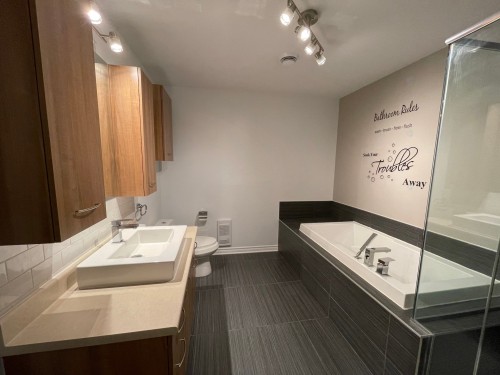 Bathroom - 305-3745 Av. Jean-Béraud, Laval (Chomedey), QC - Indoor Photo Showing Bathroom