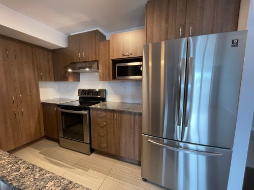 Kitchen - 305-3745 Av. Jean-Béraud, Laval (Chomedey), QC - Indoor Photo Showing Kitchen
