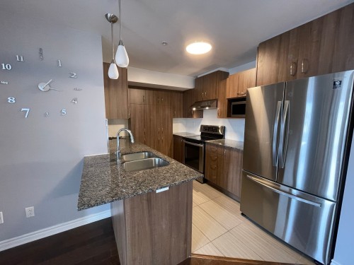Kitchen - 305-3745 Av. Jean-Béraud, Laval (Chomedey), QC - Indoor Photo Showing Kitchen With Double Sink