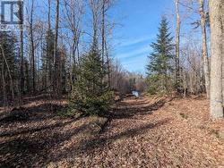 11146 HIGHWAY 118 Algonquin Highlands, ON K0M 1J1
