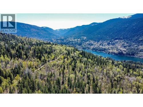 395 Boven Road, Nelson, BC - Outdoor With View