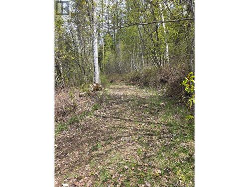 395 Boven Road, Nelson, BC - Outdoor With View