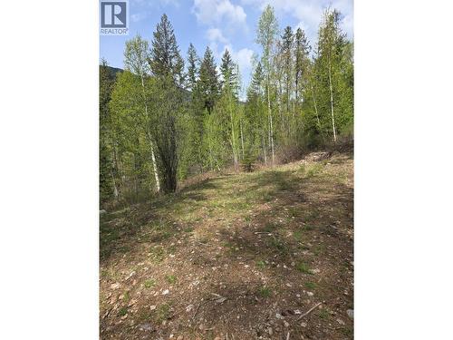395 Boven Road, Nelson, BC - Outdoor With View