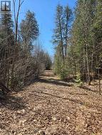 40 MARQUARDT ROAD Addington Highlands (Addington Highlands), ON K0H 1K0