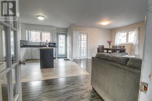 60 Bonavista Street, St. John’S, NL - Indoor Photo Showing Living Room