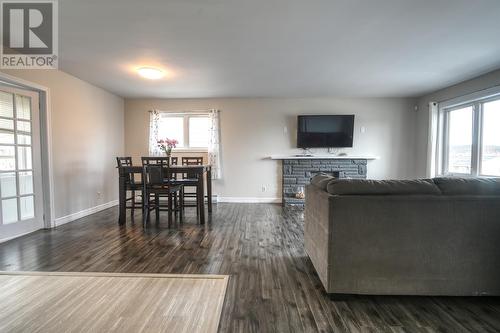 60 Bonavista Street, St. John’S, NL - Indoor Photo Showing Living Room With Fireplace