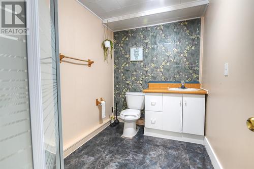 60 Bonavista Street, St. John’S, NL - Indoor Photo Showing Bathroom