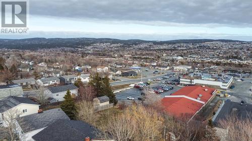 60 Bonavista Street, St. John’S, NL - Outdoor With View