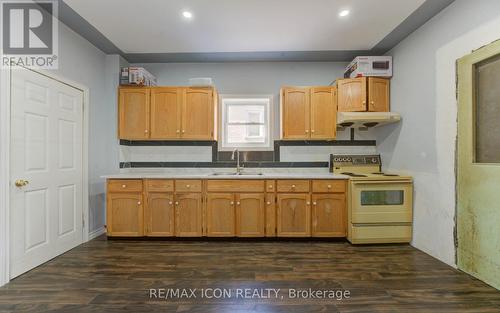 138 Courtland Avenue E, Kitchener, ON - Indoor Photo Showing Kitchen