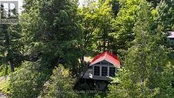 Sauna & Lakeside Bunkie/Cabana with Shower - 