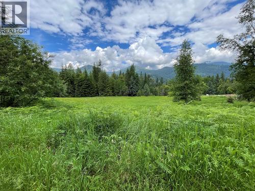 4020 Kays Road, Nelson, BC 