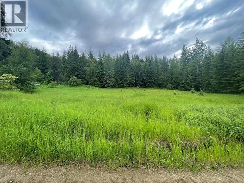 4020 Kays Road, Nelson, BC 
