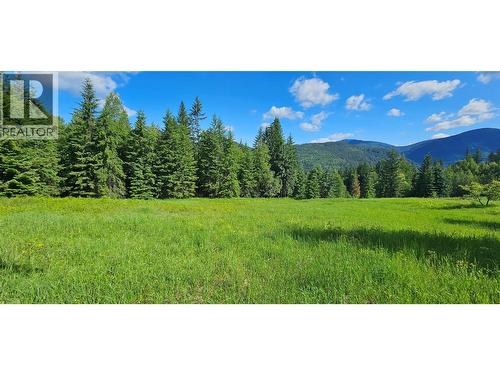 4020 Kays Road, Nelson, BC 