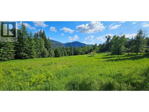 4020 Kays Road, Nelson, BC 