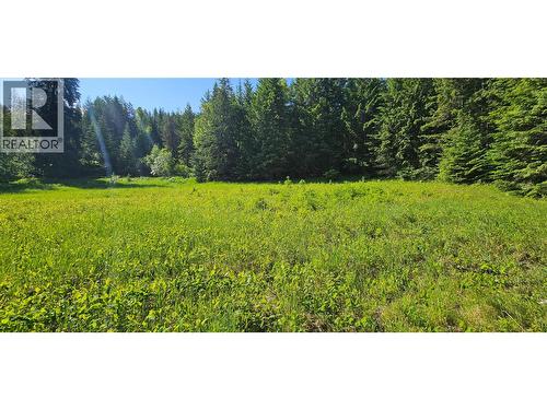 4020 Kays Road, Nelson, BC 