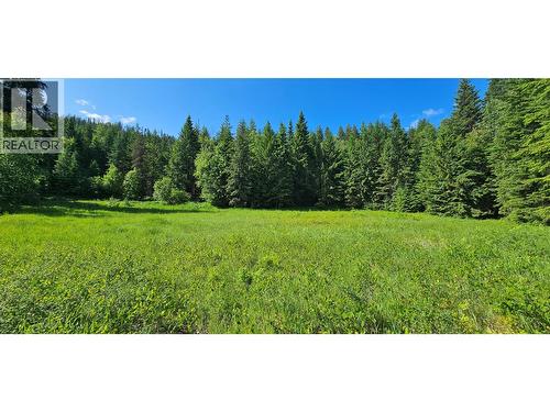 4020 Kays Road, Nelson, BC 