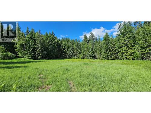 4020 Kays Road, Nelson, BC 
