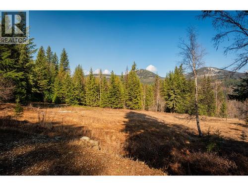 4020 Kays Road, Nelson, BC 