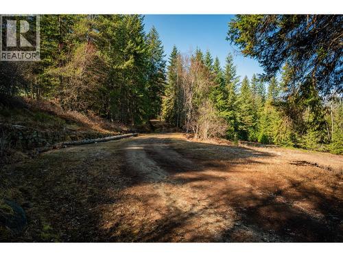 4020 Kays Road, Nelson, BC 