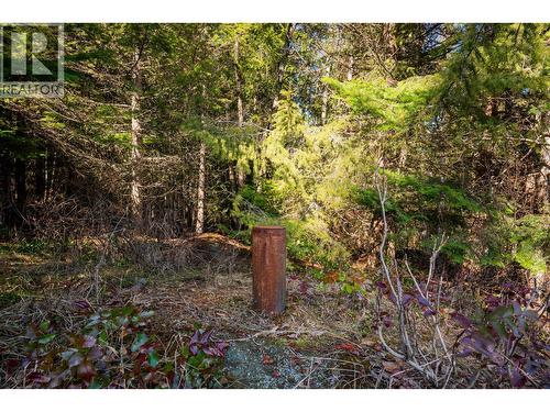 Water Well - 4020 Kays Road, Nelson, BC 