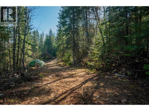 4020 Kays Road, Nelson, BC 