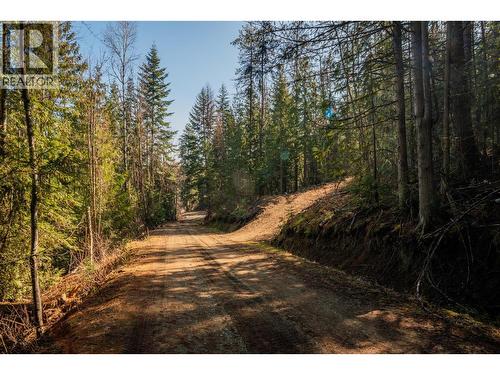 4020 Kays Road, Nelson, BC 