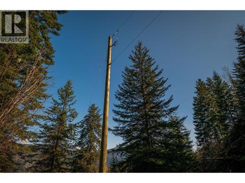 4020 Kays Road, Nelson, BC 