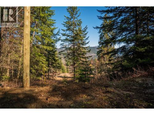 4020 Kays Road, Nelson, BC 