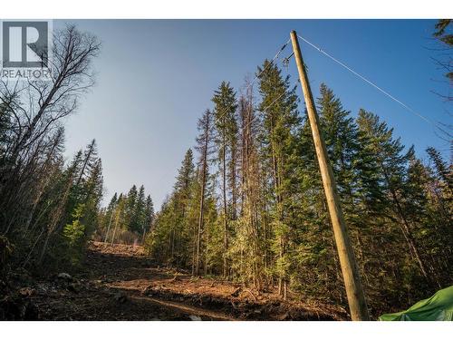 4020 Kays Road, Nelson, BC 