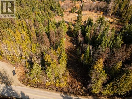 4020 Kays Road, Nelson, BC 