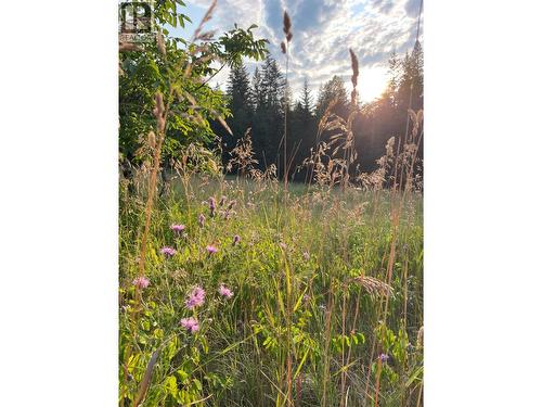 4020 Kays Road, Nelson, BC 