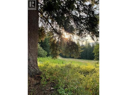 4020 Kays Road, Nelson, BC 