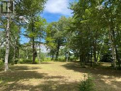 LOT 9 LOWER CRAIGMONT ROAD Madawaska Valley, ON K0J 1B0