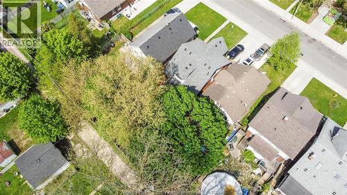 961 Curry Avenue, Windsor, ON - Outdoor With View