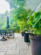 Terrasse - 