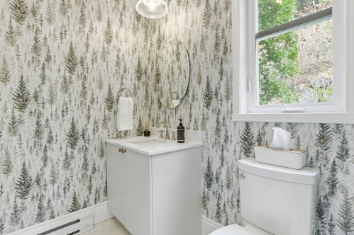 Powder room - 223 Ch. De Cortina, Piedmont, QC - Indoor Photo Showing Bathroom