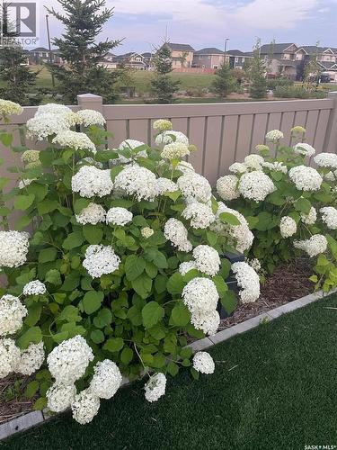 230 Greyeyes-Steele Way, Saskatoon, SK - Outdoor