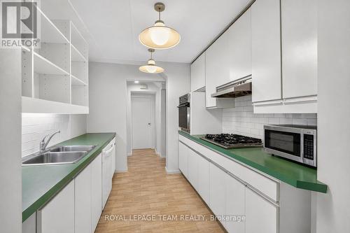 12 Lewis Street, Ottawa, ON - Indoor Photo Showing Kitchen With Double Sink