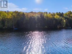 197 SHADY MAPLE ROAD Mcnab/Braeside, ON K0G 1J0