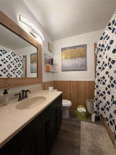 30113 20N Road, Grunthal, MB - Indoor Photo Showing Bathroom