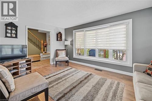 107 Billington Crescent, Hamilton, ON - Indoor Photo Showing Living Room