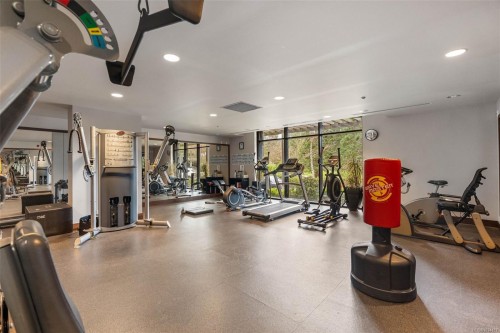 #113-1400 Lynburne Pl, Langford, BC - Indoor Photo Showing Gym Room