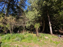 LT 24 Harrison Way  Gabriola Island, BC V0R 1X2