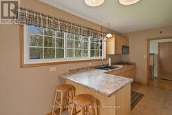 windows overlooking back forest - 